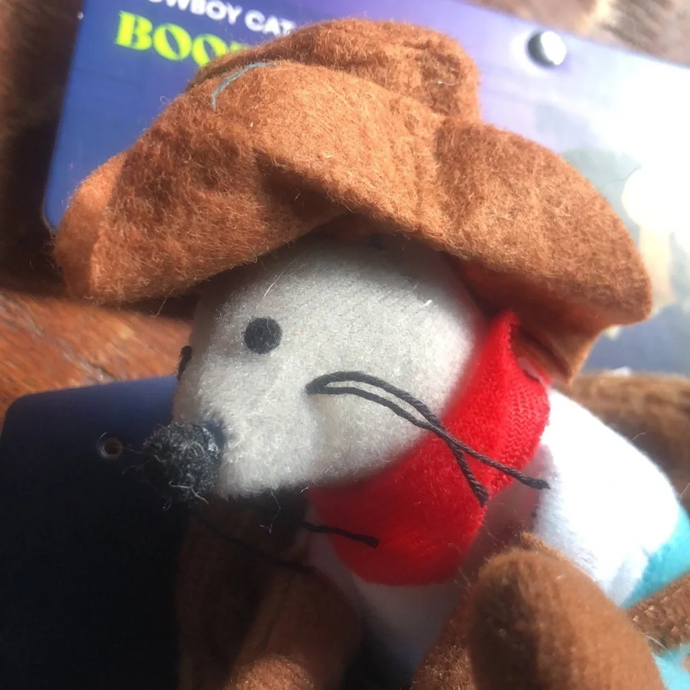 NWT Cowboy Cat Halloween Costume XS​